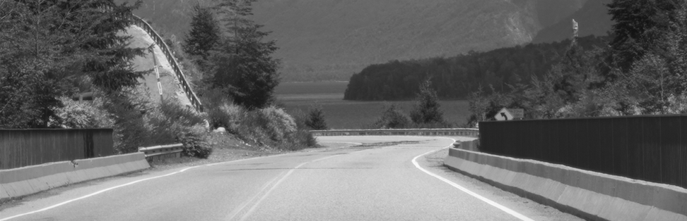 A winding road bordered by trees, leading towards a body of water in the distance, depicted in black and white.
